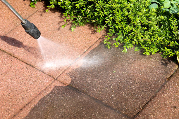 Best House Pressure Washing  in Washington, PA